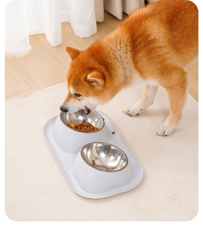 Hundmatset Husdjursskål Halsskydd läckagesäker mat Rostfritt stål dubbelskål Katt- och hundmatset Dubbelskål Husdjurstillbehör_voghion.com