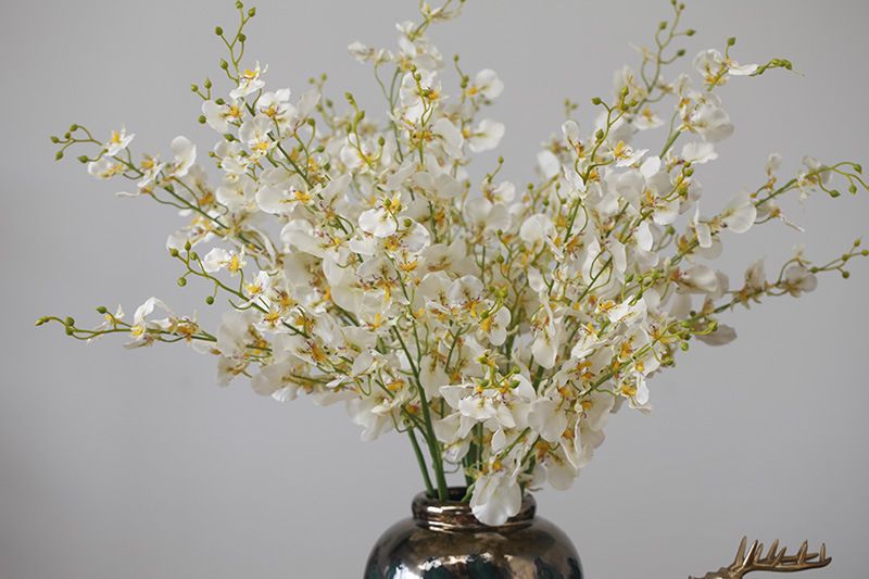 Phalaenopsis soggiorno da terra arte floreale oncidium composizione floreale decorazione domestica_voghion.com