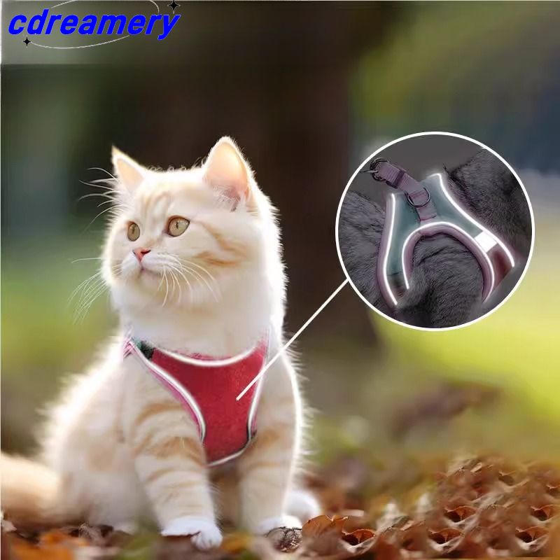 Lesă pentru câini și pisici, fără tragere, reflectorizantă, reglabilă, pentru animale de companie mici, plimbări, dresaj în aer liber_voghion.com