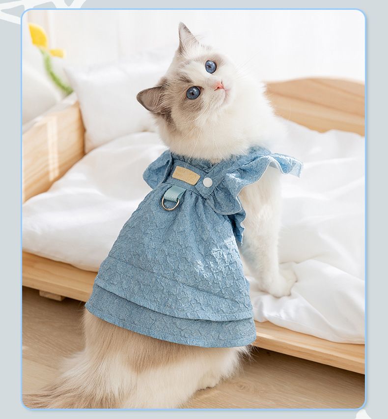 Einfache klassische Jeanskleidung, kleine Oberteile mit zwei Beinen, Röcke für Outdoor-Mode, Hundekleidung für Frühling und Sommer_voghion.com