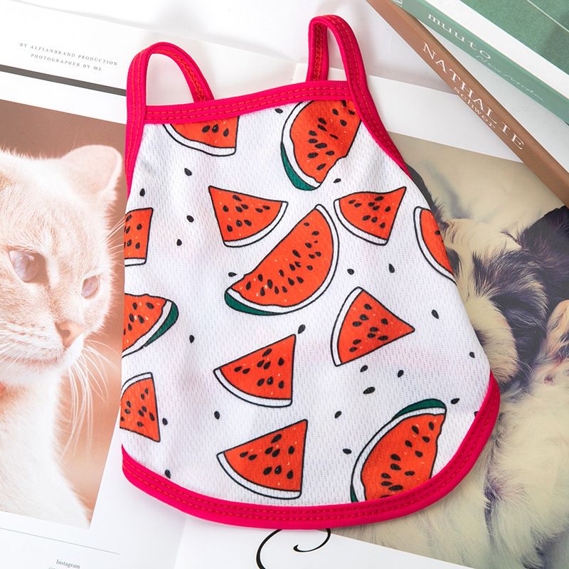 Pet Clothes Cat Bichon French Bulldog Pomeranian Small New Vest Strap Dog Apparel Summer Thin Style_voghion.com