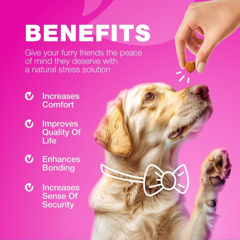 Dog Urinary Health Supplement Dog Cranberry Incontinence Supplement For Support UTI Tract Cranberry Treatment Bladder Fo Kidney_voghion.com