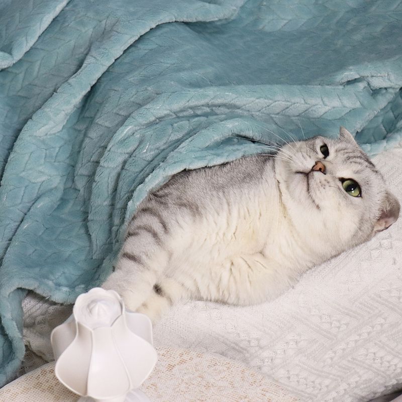 Weizenohr kleine Haustier Katze Nest Matte Hund Wärme Abdeckung Korallen Samt verdickte Decke_voghion.com