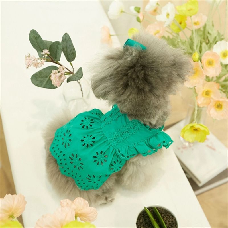 Vestito estivo da principessa con maniche a palloncino in pizzo per animali domestici 2025 per cani e gatti Teddy Bichon, vestiti sottili + copricapo_voghion.com
