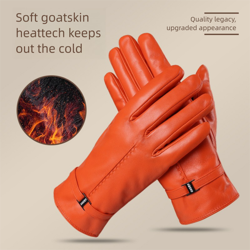 Cross-Border Warm Leather Gloves For Women, Autumn And Winter Fashion, Versatile Windproof, Fleece-Lined, Thickened,_voghion.com