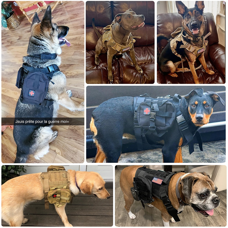 Taktiska selar Husdjursträningsväst Hundsele och koppelset för små medelstora hundar Promenad Jakt Gratis frakt_voghion.com