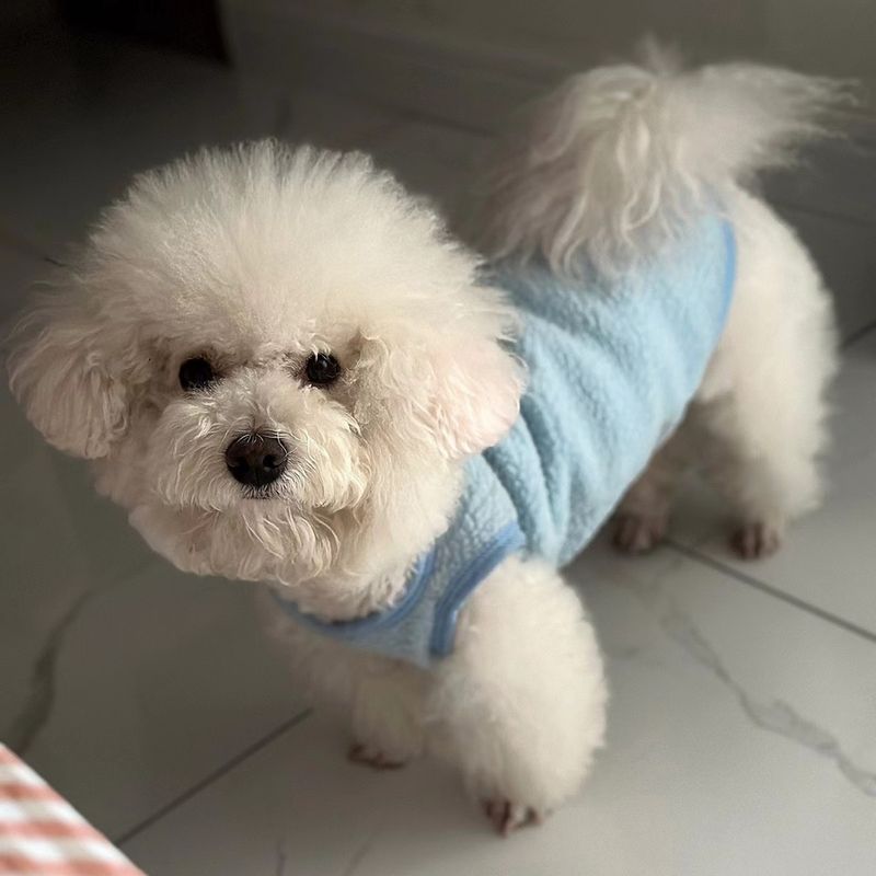 Fleece-Lined Thickened Warm Pet Vest Dog Clothes Cat Teddy Bichon Pomeranian Small Puppy Schnauzer_voghion.com