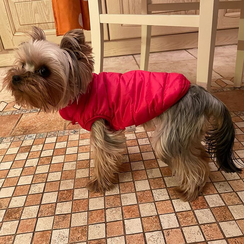 Puppy Winter Soft For Chihuahuas, French Bulldog Clothes, Pet Outfit, Vest, Dog Clothes By PawParty Store_voghion.com