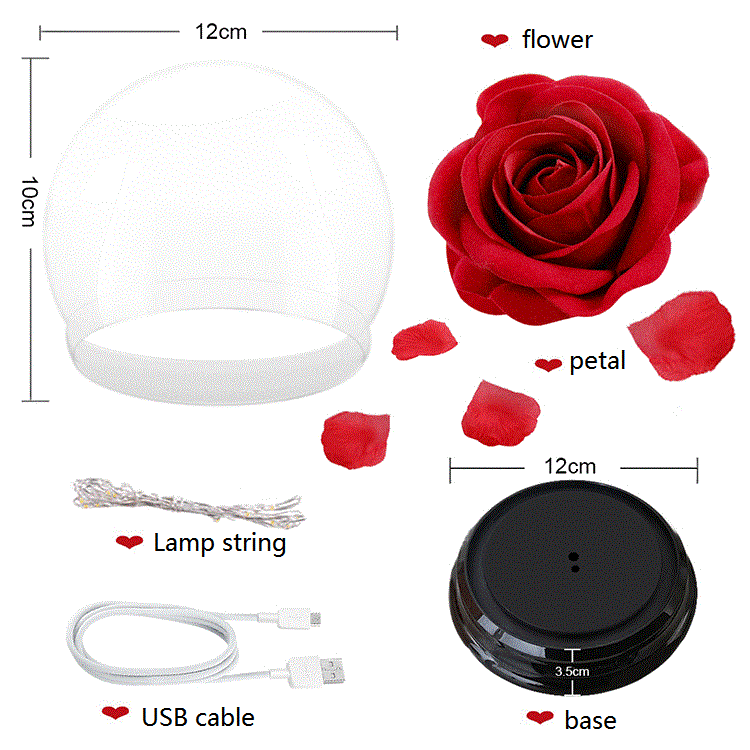 2 LED Mode Lighte Eternal Rose, ohranjena roža v stekleni kupoli, darilo za rojstni dan za materinski dan za dekleta, poročna zabava, dekoracija doma_voghion.com