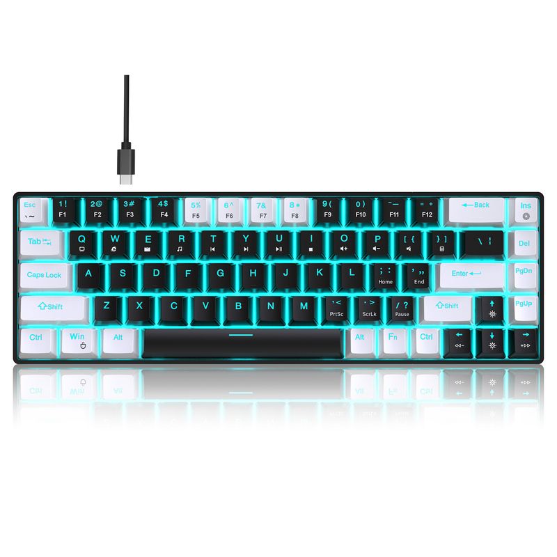 New 68 Key Wired Mechanical Esports Game Keyboard Hot Plug Axis Engineering Dual Color Injection Molding Keycap Ice Blue_voghion.com