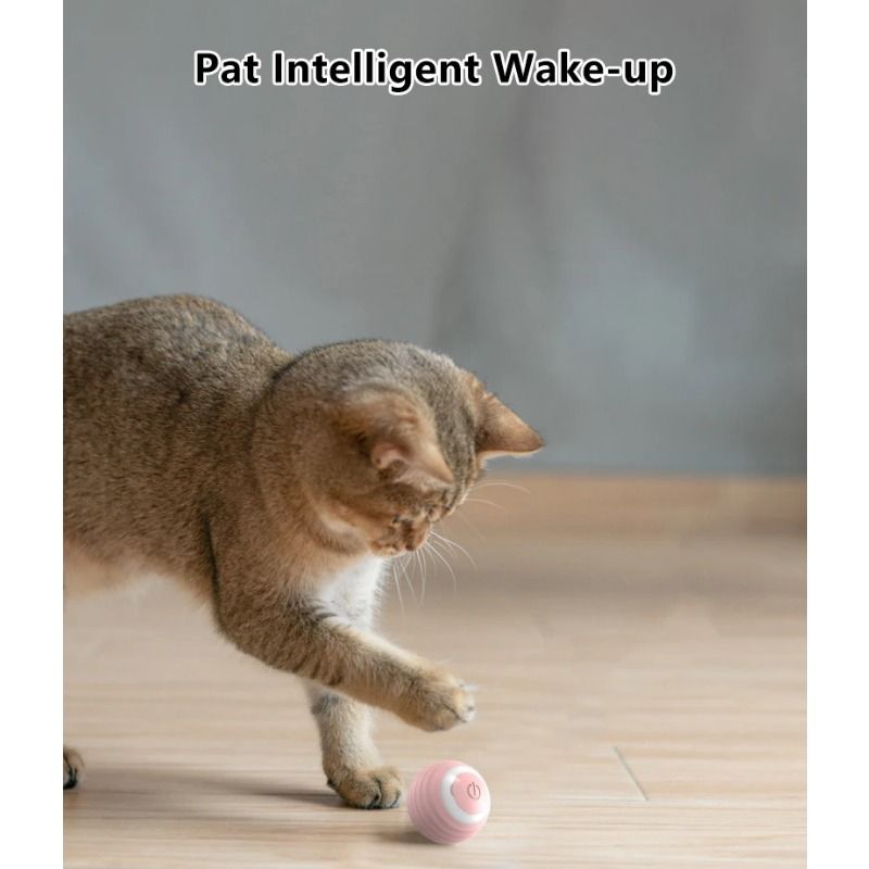 1Pc Cat Interactive Ball Smart Cat Toys Indoor Automatic Rolling Magic Ball Electronic Interactive Cat Toy Cat Game Accessories_voghion.com