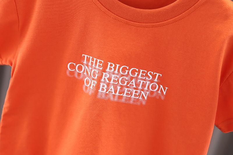 2024 Nouvelle robe d'été pour garçons Ensemble anglais à manches courtes en deux pièces pour nourrissons et enfants_voghion.com