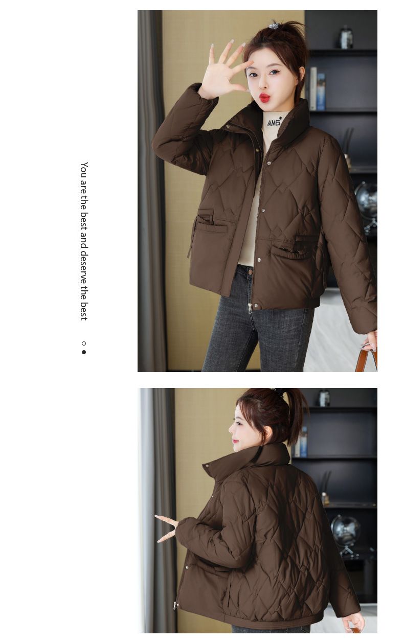 2024 Inverno Nuovo Stile Corto Colletto Alla Moda Leggero Largo Donna Giacca Di Cotone Piccolo Cappotto Tendenza Commercio Estero_voghion.com