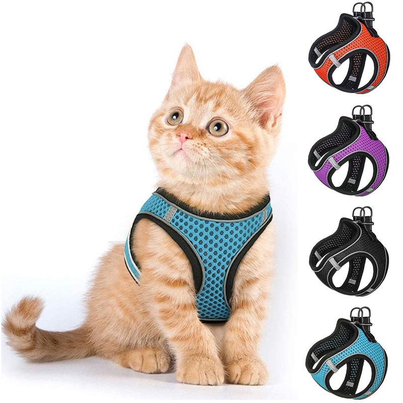 Guangying Pet Chest Strap Odblaskowe paski Redukcja ciśnienia Oddychająca kamizelka dla kotów na zewnątrz_voghion.com