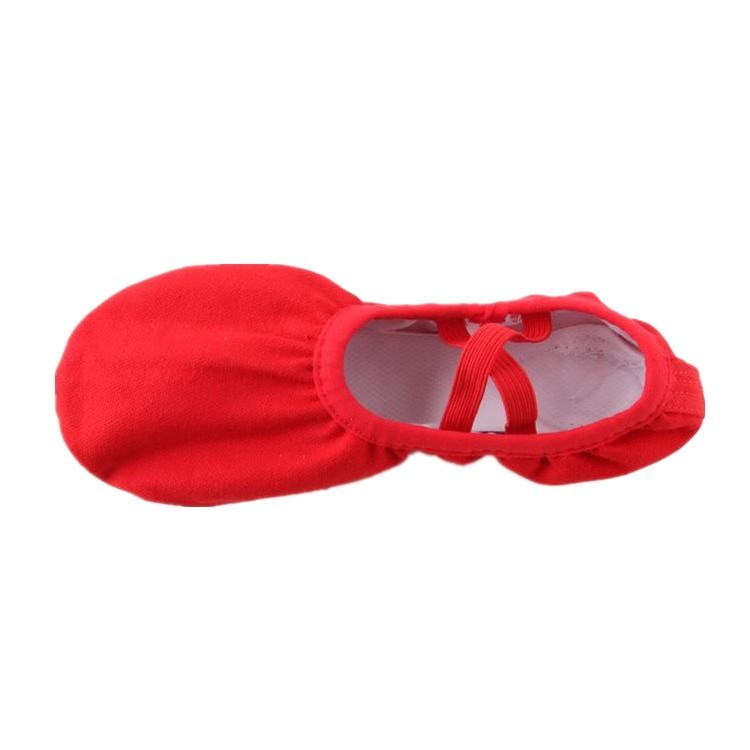 Scarpe da danza per adulti, per bambini, con suola morbida, da uomo, con forma a zampa di gatto, per danza classica e yoga, Sansha_voghion.com