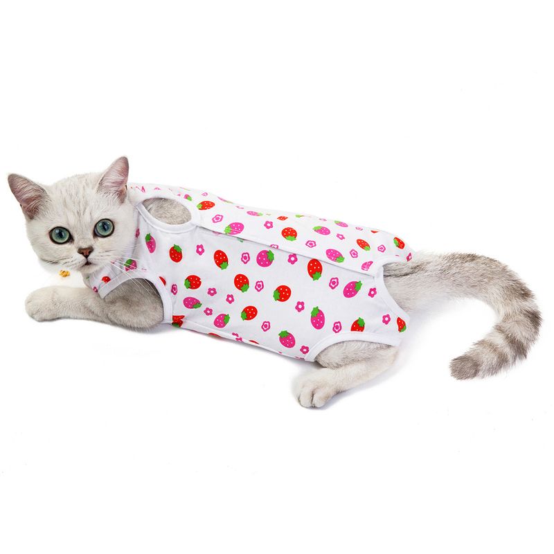Combinaison rayée en coton Kawaii pour chien, vêtements pour petits chiens, motif dessin animé, pyjama pour chien, chihuahua, chaton, chiot, chemise pour chien_voghion.com