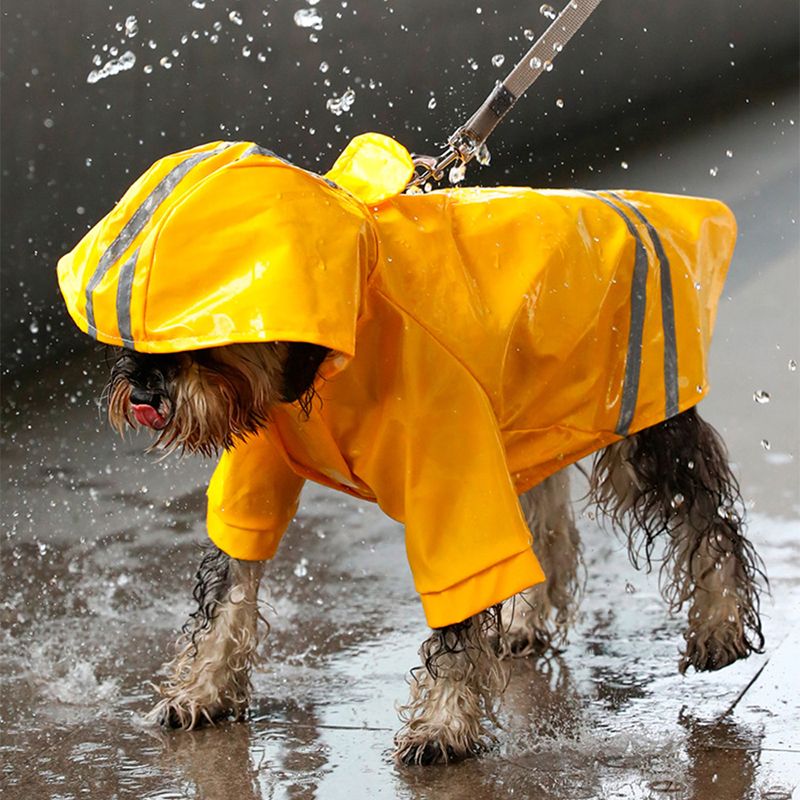 Imperméable pour chiots de petite et moyenne taille, veste imperméable pour chiens et chats, combinaison d'extérieur pour animaux de compagnie, vêtements pour chihuahuas, Teddy de la boutique PawParty_voghion.com