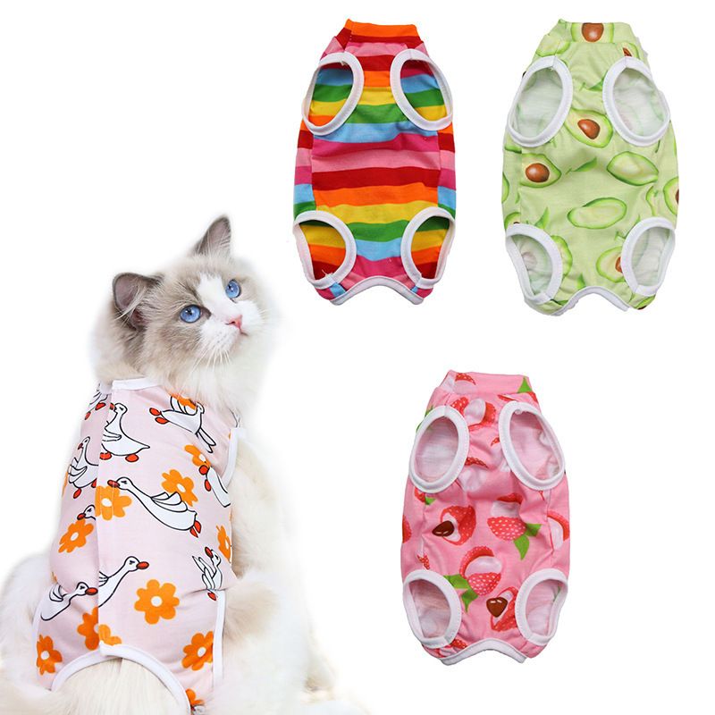 Combinaison de stérilisation post-opératoire pour chat, série Fruit, vêtements pour animaux de compagnie quatre saisons, couverture complète pour petits et moyens chiens_voghion.com