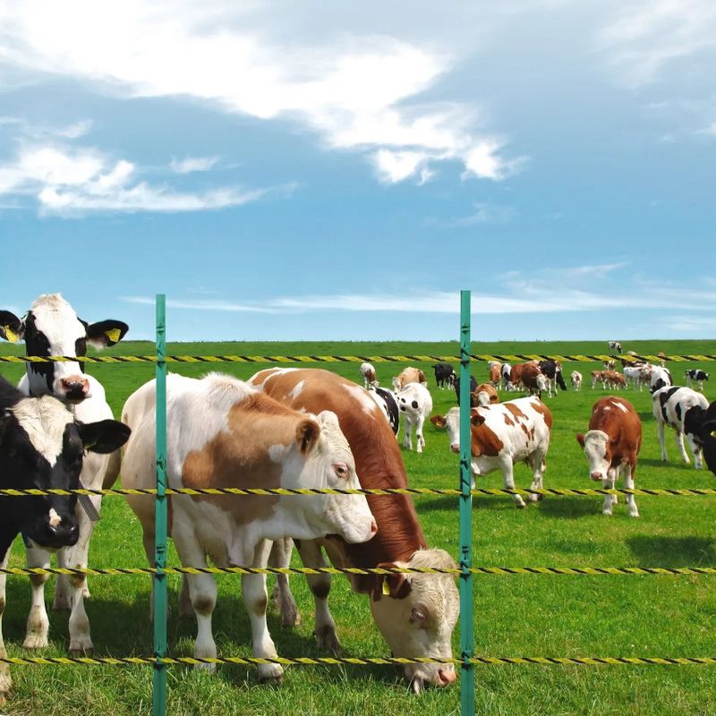 Recinzione elettrica da 3366 piedi in filo metallico per bestiame, cavalli e bestiame 1026 m_voghion.com