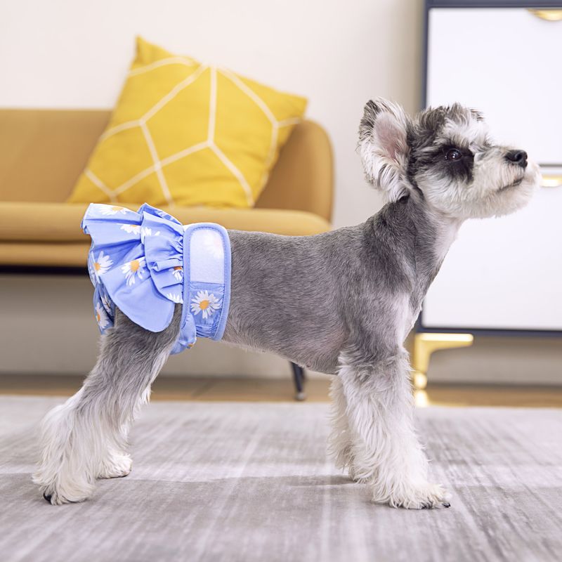 Pantaloni fisiologici per animali domestici transfrontalieri, gonna fisiologica per cani, pantaloni fisiologici per cagna, produttori di pannolini per animali domestici istantanei a prova di perdite_voghion.com