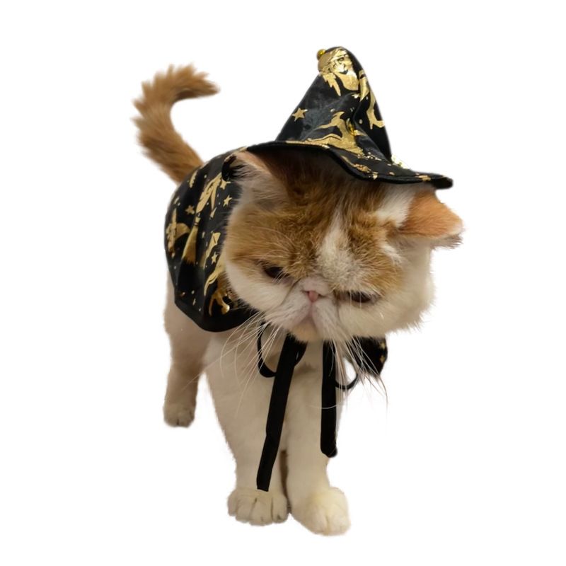 Nieuwe Halloween Heks Kat Tovenaar Huisdier Cape Kostuum Transformatie Outfit_voghion.com