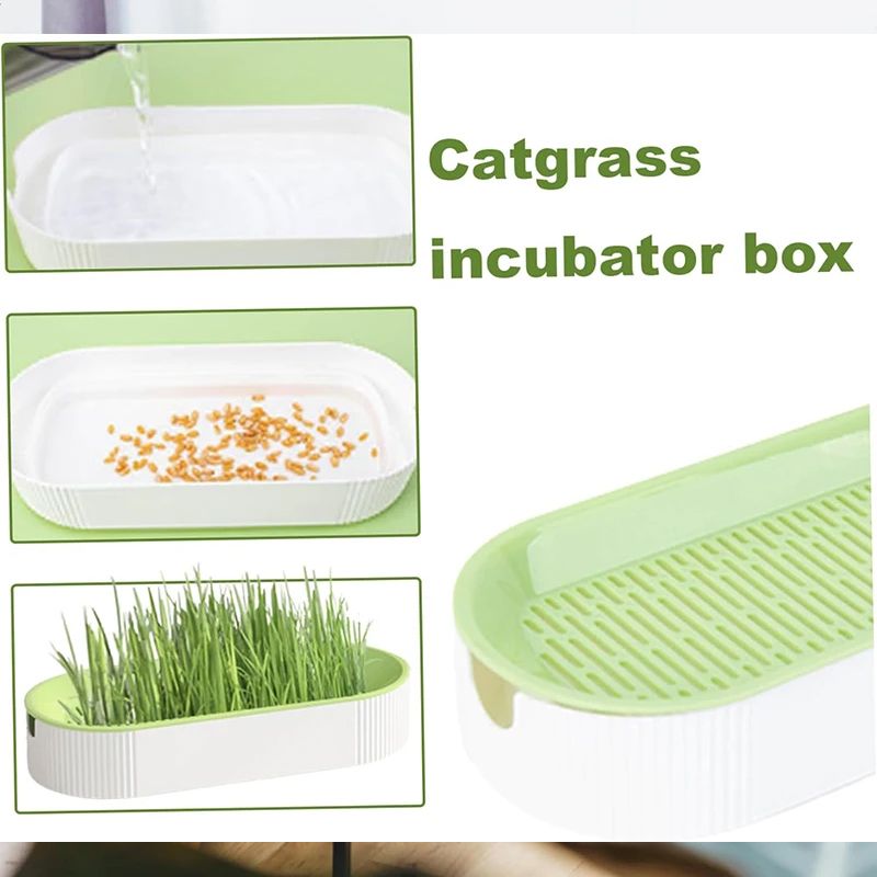 Hydroponische kattengrasbox Kattenlekkernijen Kattenkruid Hydroponische bodemloze planten Kattengras Potset voor eenvoudige groei_voghion.com