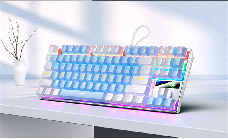 Paneel ZK Metaal RGB Gemengd licht Bedraad Blauw Schakelaar Mechanische sleutel Toetsen USB Tweekleurig Spel Kantoor De s_voghion.com