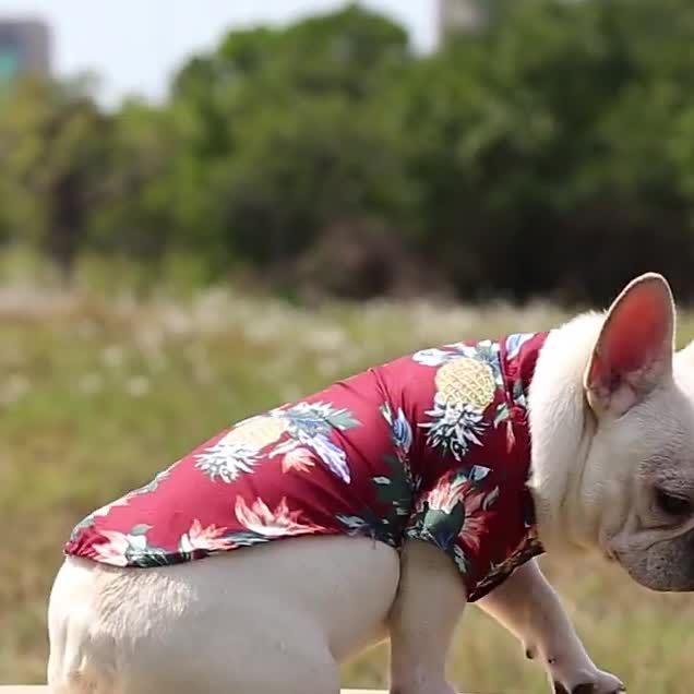 Hawaiian Style, Shirt, Summer Dog For Small Medium Dogs, Puppy Clothes, French Bulldog, Pet Clothes By PawParty Store_voghion.com