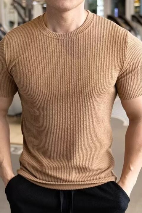 Men's Short-sleeved T-shirt Summer New Slim-fit Business Casual Fashion Versatile High-end Striped Crew Neck Bottoming Shirt_voghion.com