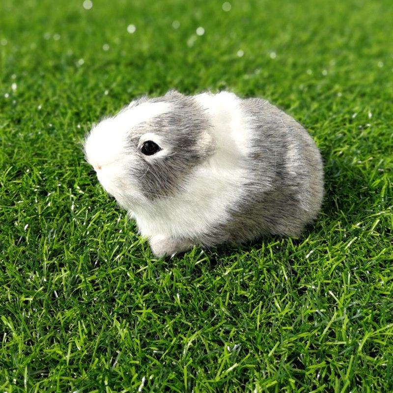 Animal Realistic Toy Model For Kids Tiny Furry Hamster Guinea More And Pig_voghion.com