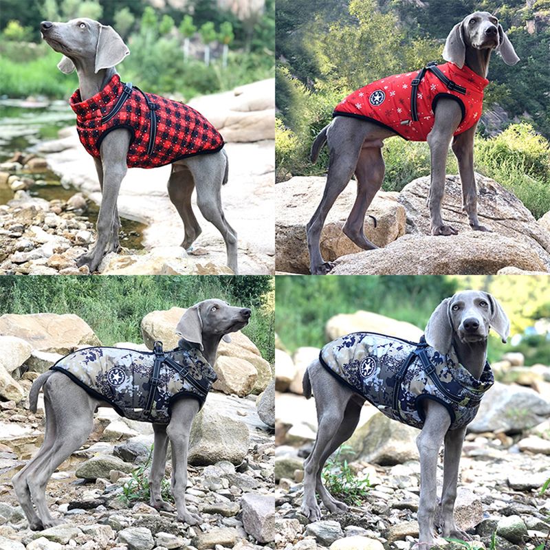 CDDMPET Winter Cotton Dog Jacket S-2XL By PawParty Store_voghion.com