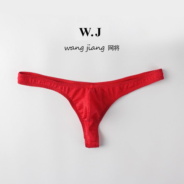Men's Triangle Briefs Sexy Low Waist Nylon Ice Silk Mesh Breathable Thong T-Pants_voghion.com
