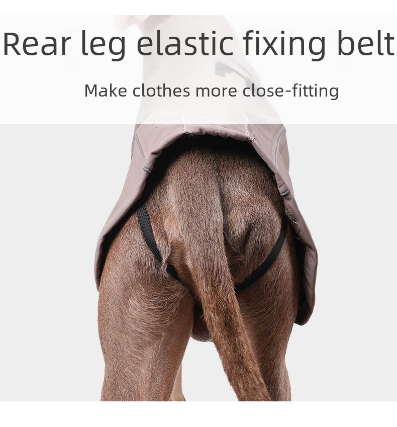 Amazon neue warme Haustierkleidung wasserdichte verdickte Hundekleidung weiche Outdoor-Jacke Haustier-Hundekleidung_voghion.com