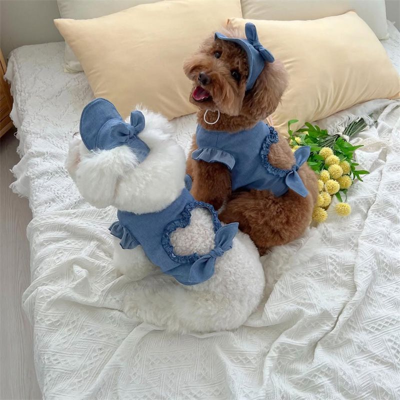 Roupas para cães e gatos pequenos e médios, primavera e verão, conjunto de 2 peças, camiseta jeans, colete e chapéu, 2025_voghion.com
