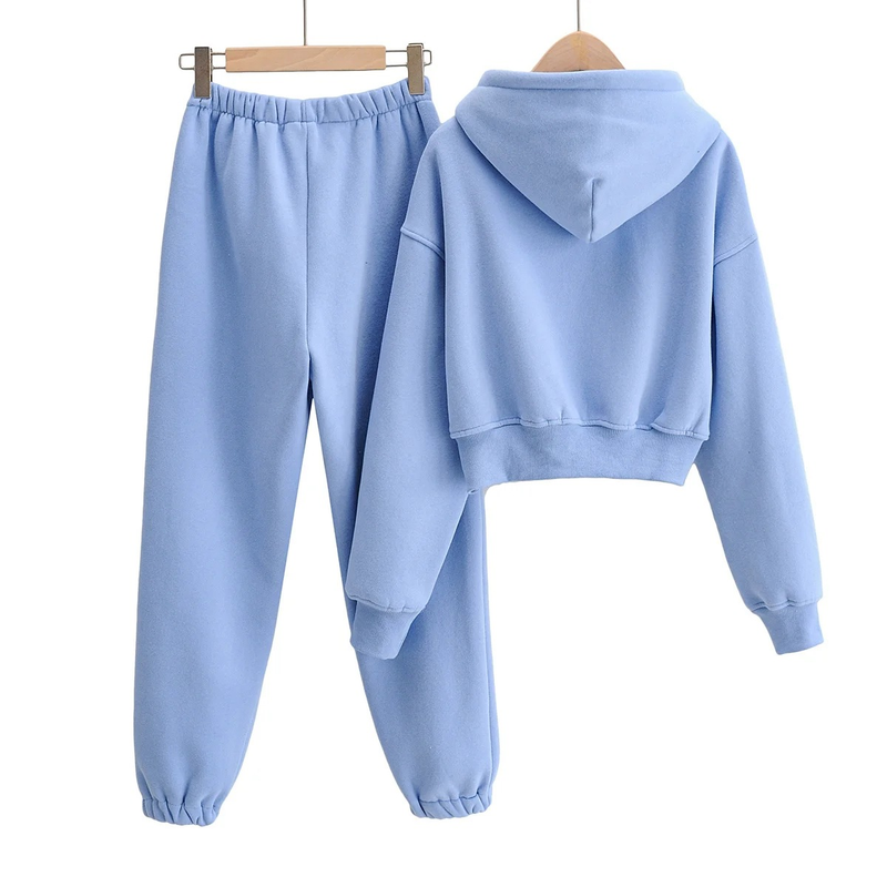 Ropa de mujer Otoño e invierno nuevo estilo suelto más sudadera con capucha de terciopelo + pantalones harén casuales con puños traje deportivo para mujer_voghion.com