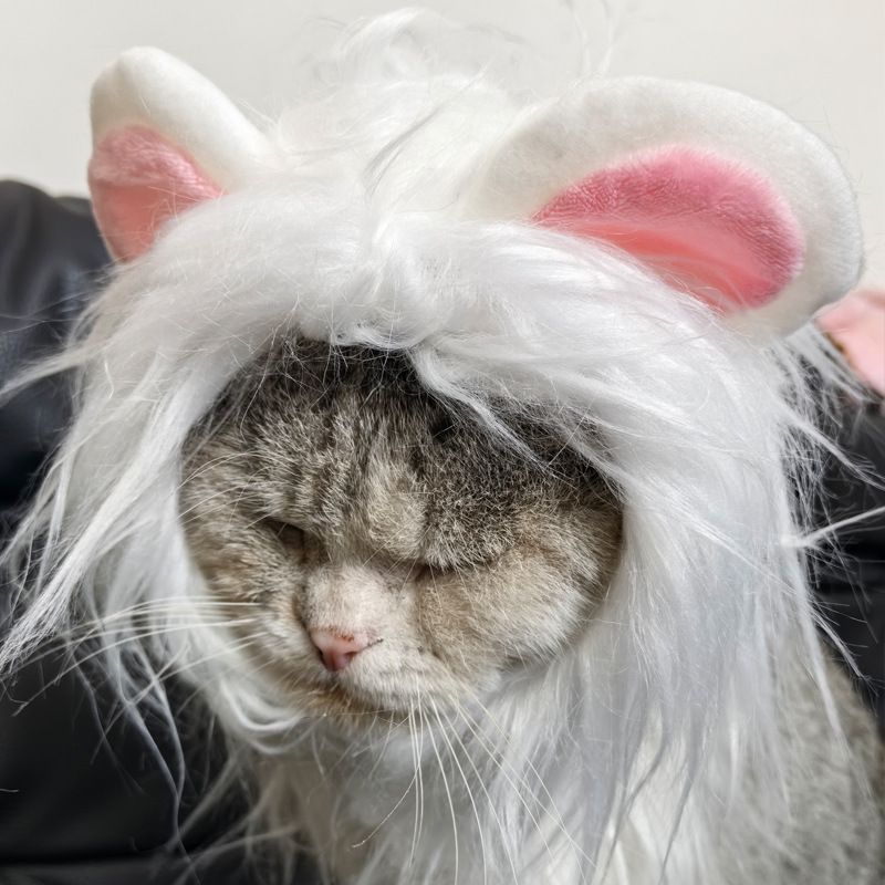 Copricapo Parrucca Cappello Animale Domestico Cane Cucciolo Gatto Costume Copricapo Leone_voghion.com