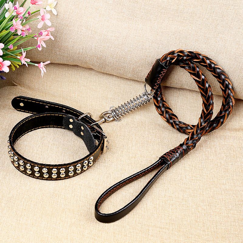 Dog Eight-Strand Cowhide Pet Walking Leash Collar For Medium And Large Dogs Spring Neck Strap Explosion-Proof_voghion.com