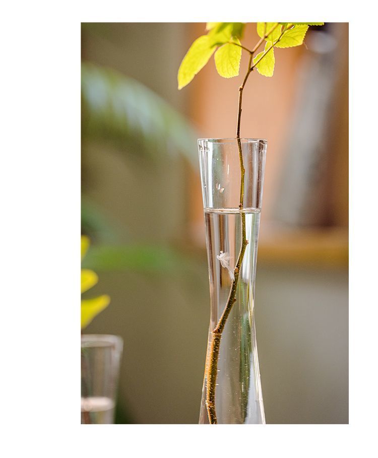 【 46000 People Collected 】 Juhan Nordic Ins High Beauty Arrangement Water Nourishing Small Vase Glass Transparent_voghion.com