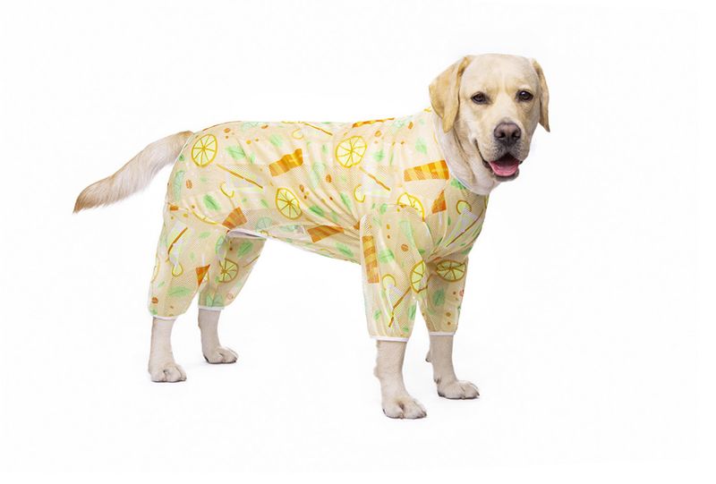 Spring and Autumn Summer Mesh Print Labrador Dog Golden Retriever Medium and Large Dog Four-Legged Cross-Border Pet Dog Clothes_voghion.com