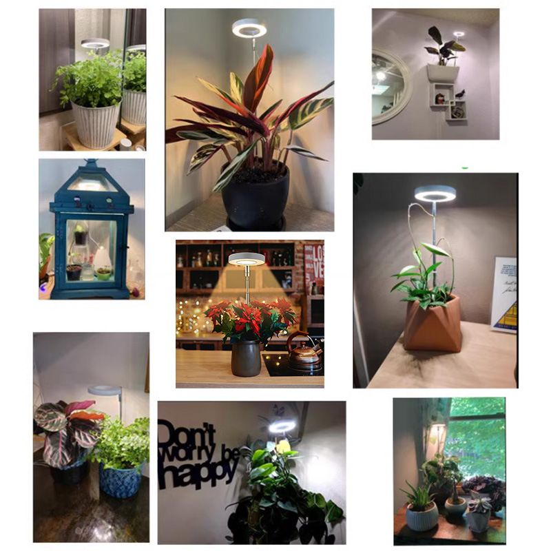 LED Telescopic Plant Light Growth Lamp Angel Ring Succulent Red And Blue Light Full Spectrum Flower Timing Plant Fill Light_voghion.com