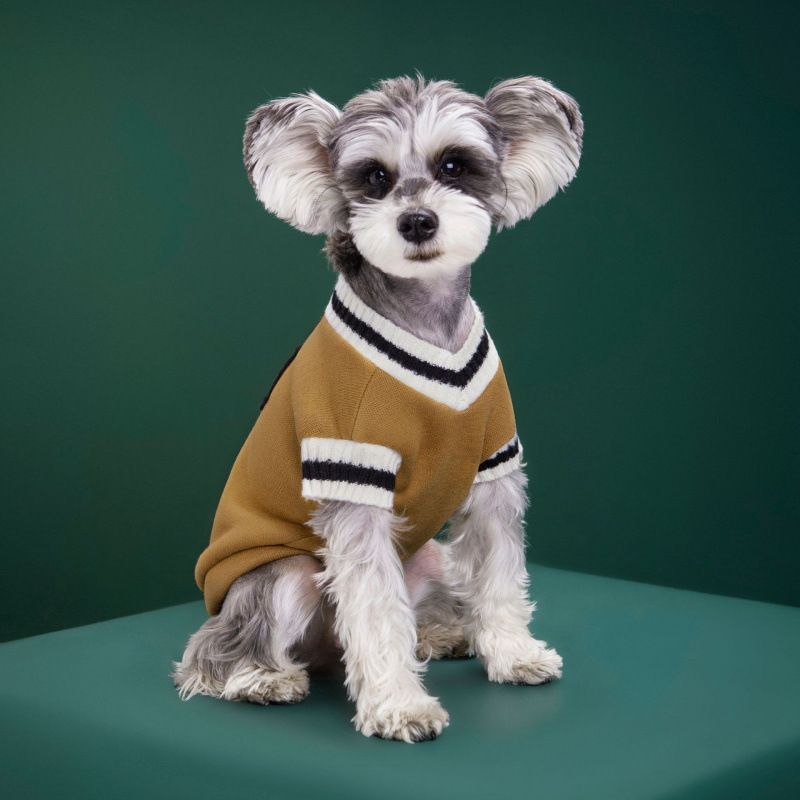 Clothes Campus Style Vest Badge Handsome Small Medium Large Cat Dog Knitted Cotton Couple Sweater_voghion.com