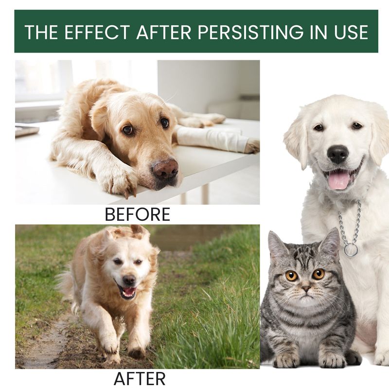 Gezamenlijke reparatiedruppels voor huisdieren, verlichting van gewrichtspijn voor honden en katten_voghion.com