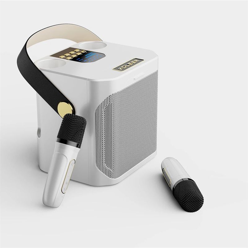 S882 Karaoke-apparaat met dubbele microfoons Verander stemfuncties Draagbare luidspreker Subwoofer TF-kaart U-schijfspeler voor_voghion.com