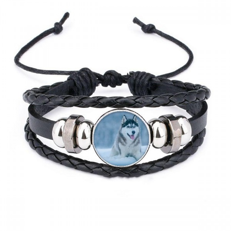 dog Animal Snow Hupicture Bracelet Braided Leather Woven Wristband_voghion.com