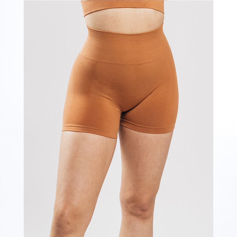LazyZoom Women's Summer Slim Fit Yoga Elastic Tight Fitness Running Shorts_voghion.com