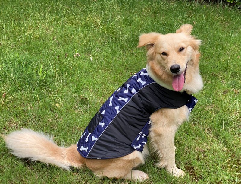 Pocket new pet clothes autumn and winter dog clothes vest cotton coat double sided wearable dog clothes coat clothing_voghion.com