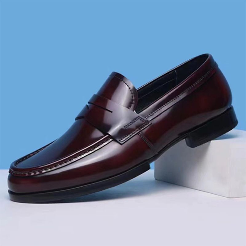 Mocassini da uomo TerraStride 2025, alla moda, lucidi, slip-on, eleganti, stile business britannico, casual, in pelle, con tacco basso_voghion.com