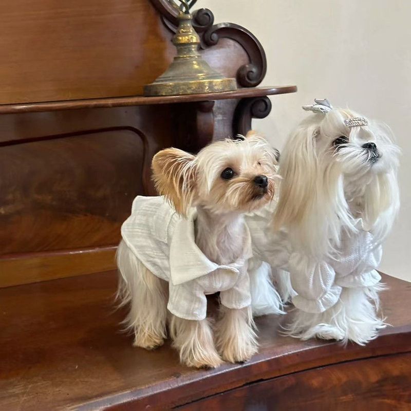 Camicia color crema per cani, abito primaverile ed estivo, stile Bichon Frise, stile Yorkshire, a quadri, sottile e carino_voghion.com