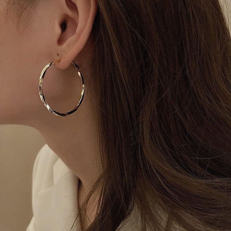 Silver Needle Ins Style Circle Korea Simple Metal Design Sense In Mesh Red Personalized Temperament Versatile Earrings_voghion.com