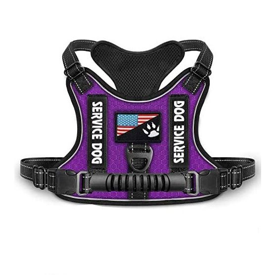 New Explosion-Proof Shock Absorption Night Vision Reflective Pet Chest Harness Vest-Style Leash_voghion.com
